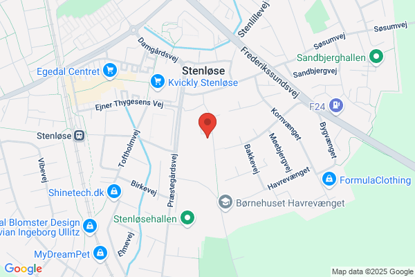 Menighedernes Daginstitutioner
