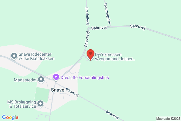 Vognmand (Jørgensen Jesper)