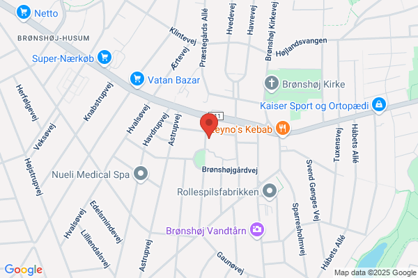 Bournonville Skolen