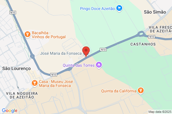Fonseca (Joy Fonseca)