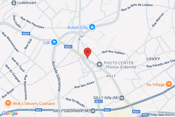 Des Lys De France