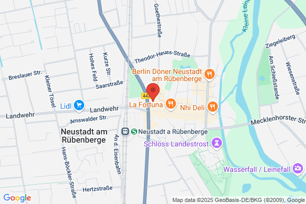 Goldschmidt, Nete