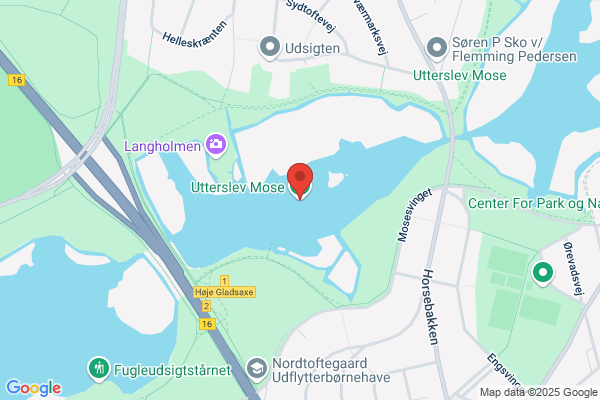 Hårtotten