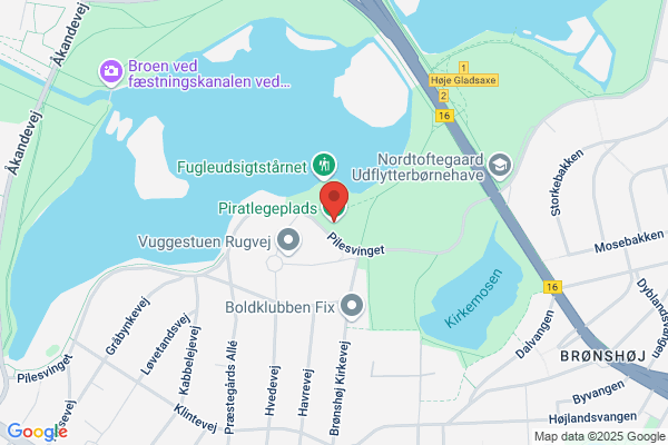 Piraten