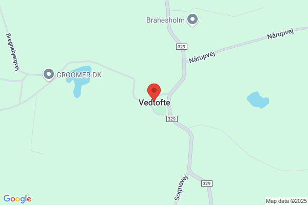 Vedtofte Johannes