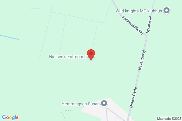 Nielsen Entreprise