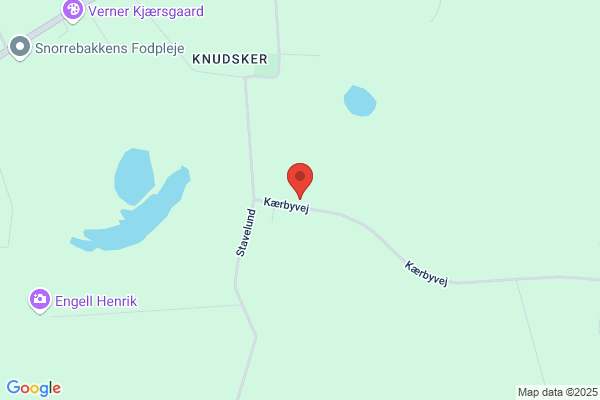 Rønborg Consult