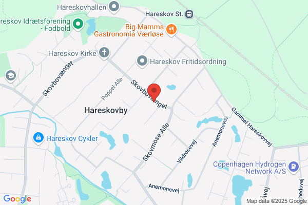 Grønne Bureau, Det