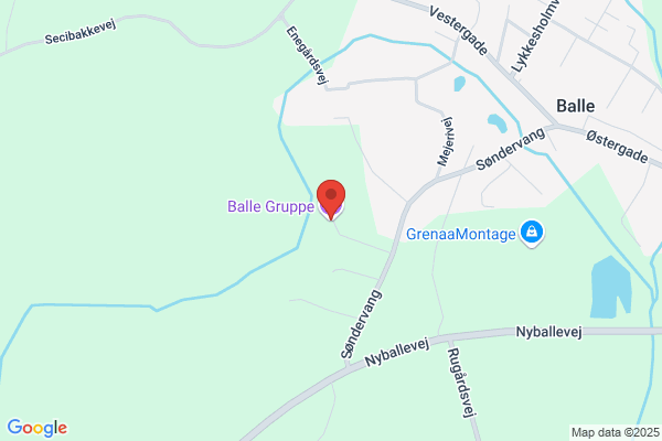 Det Danske Spejderkorps, Balle Gruppe