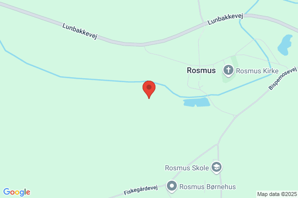 Rosmus, Musikværkstedet