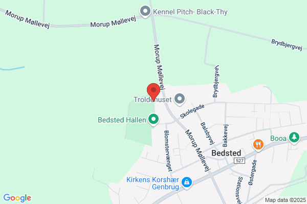 Bedsted Idrætsforening, B.I.F.