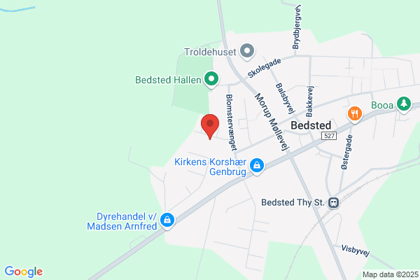 Bedsted KFUMs Idrætsafdeling