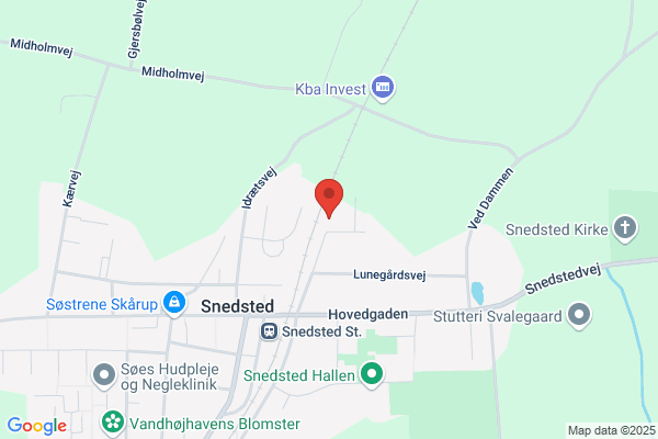 Snedsted Turistbusser I/S