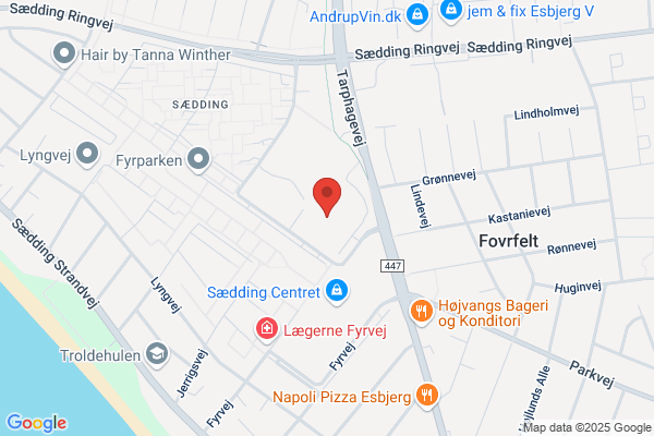 Esbjerg Jiu-Jitsu klub