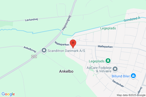 Fire-Forestillingen