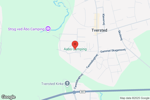 Amping, Erik