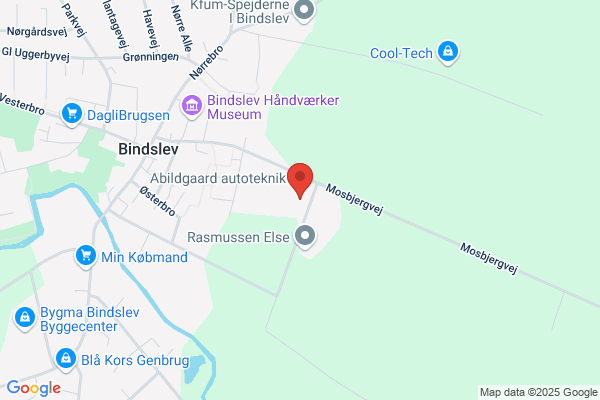 Bindslev Tømrer- og Snedkerforretning A/S