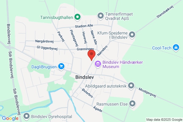 Børnetandklinikken ved Bindslev skole
