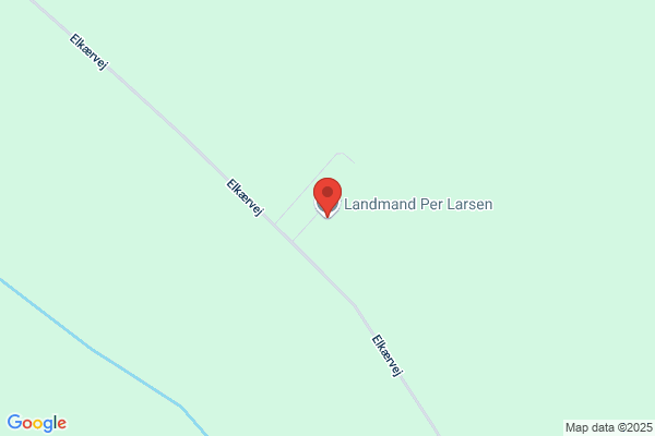 Larsen, Anders