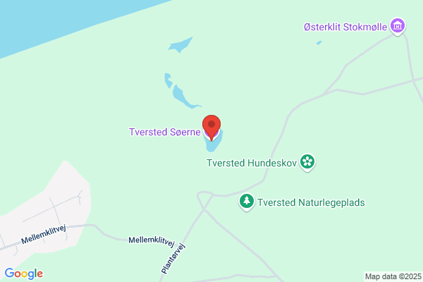 Tversted Klitplantage Nordjyllands Statsskovdistrikt