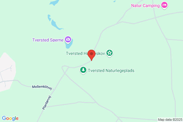 Tversted skovpart
