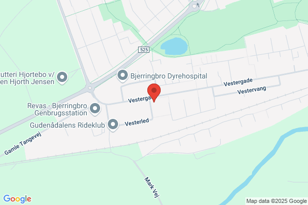 Bjerringbro Opretning & Autoværksted