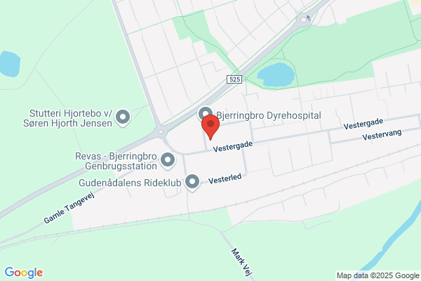N N F Bjerringbro Afdeling