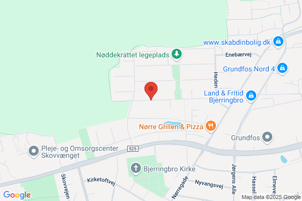 Det Radikale Venstre i Hvorslev