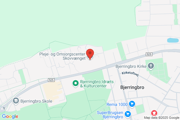 Socialdemokratiet i Bjerringbro Kommune