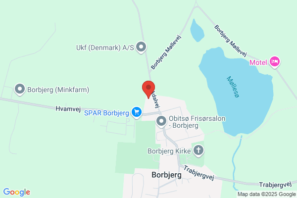 Olesen, Torben B.