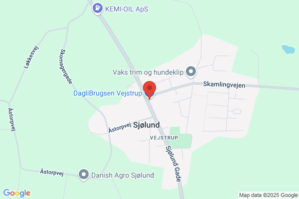 Dagli' Brugsen Vejstrup