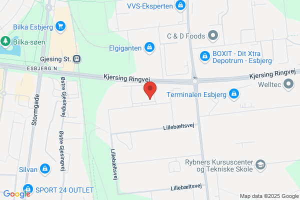 Ems Regnskab