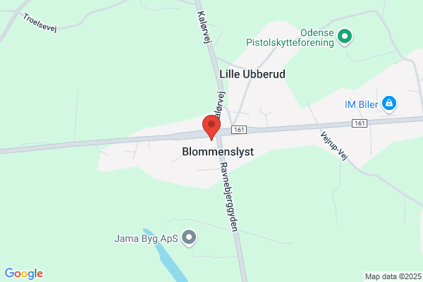 OK Plus Blommenslyst
