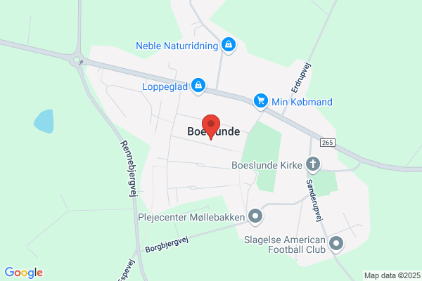 Den Glade Vinduespudser