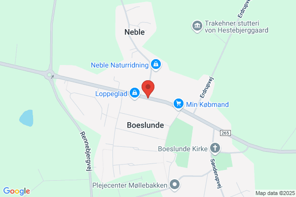 HjerneSagens Lokalforening i Slagelse og Omegn