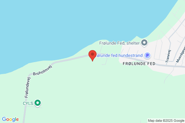 Jensens Fru, Guldmopper
