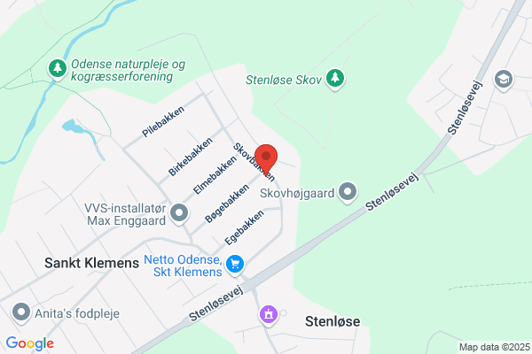Skælskør Antenneforening