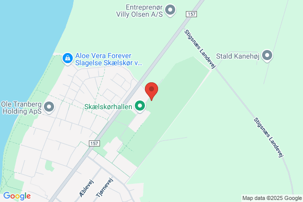 Skælskør Boldklub og Idrætsforening