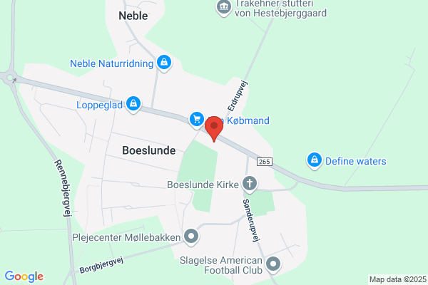 Skælskørgruppen