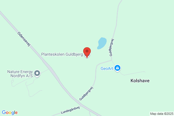 Guldbjerg Tømrerforretning