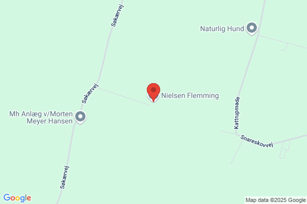 Nielsen, Flemming Holm