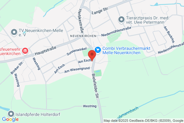 Olesen, Malerfirma Fl.