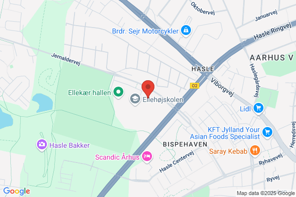 Ellekærskolen