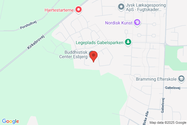 Porsholt, Klinik