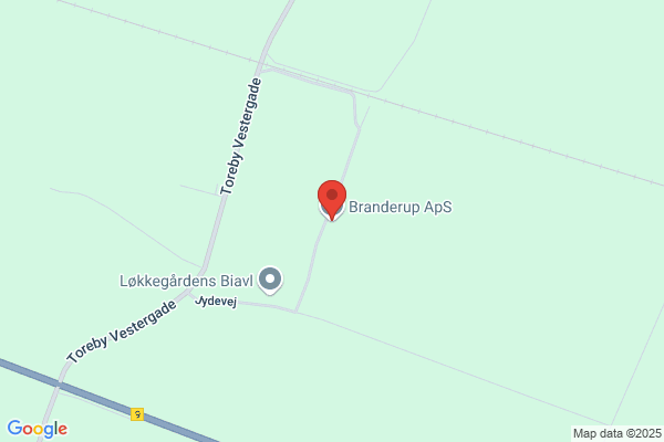 Dommeren i Tønder