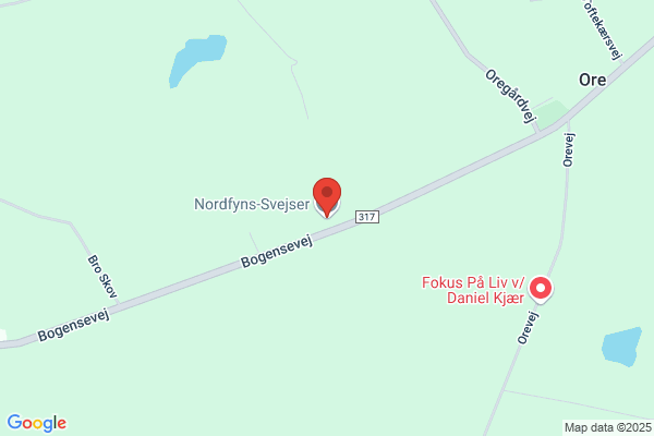 Nordfyns-Svejser