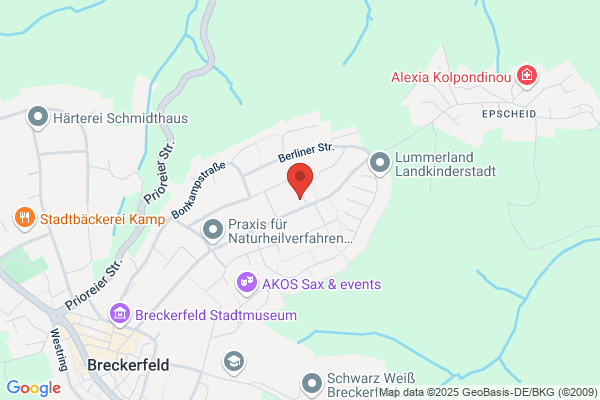 Nyvangs Malerfirma