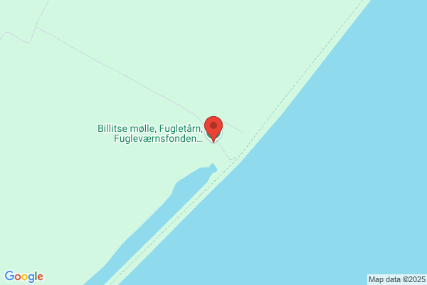 Fjeldsted Finn
