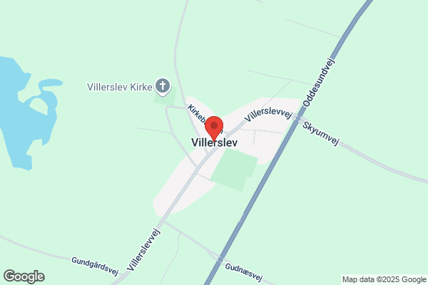 Villerslev Lene