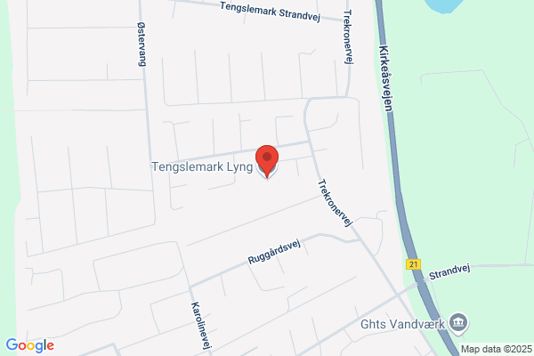 Tengslemark Lyng Nord Grundejerforening